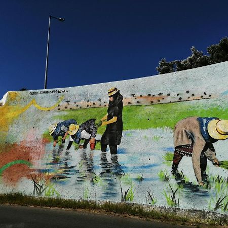 דירות Alcácer do Sal Venancio Alojamento מראה חיצוני תמונה